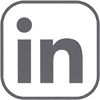 Icona Linkedin